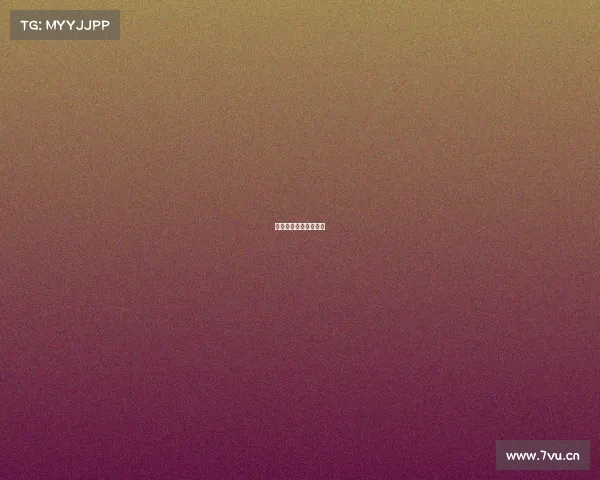 心机老师的团队都有谁